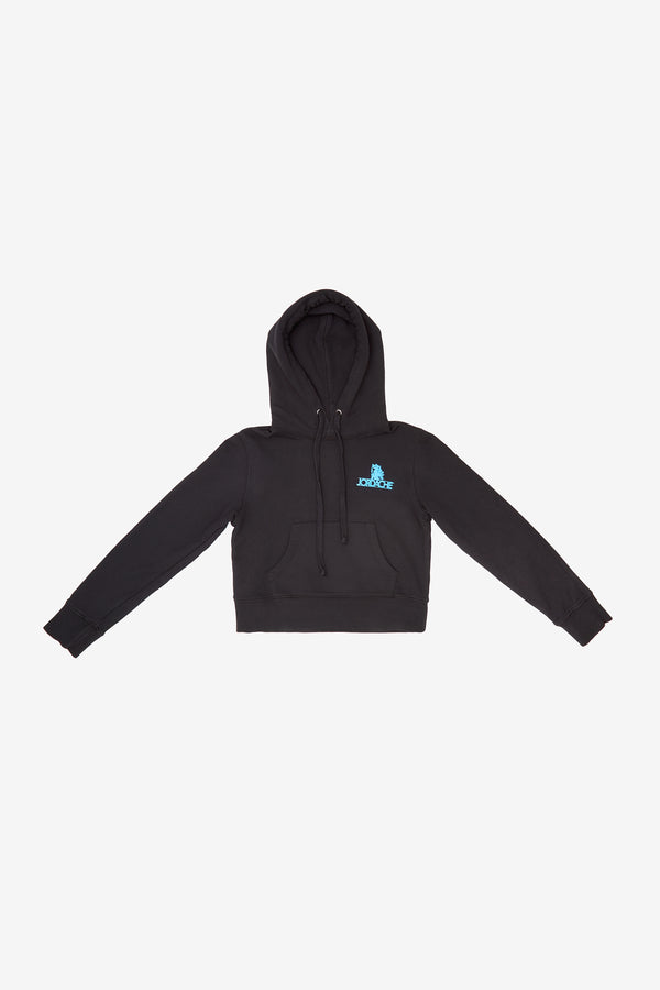 Blue Mini Logo Hooded Sweatshirt